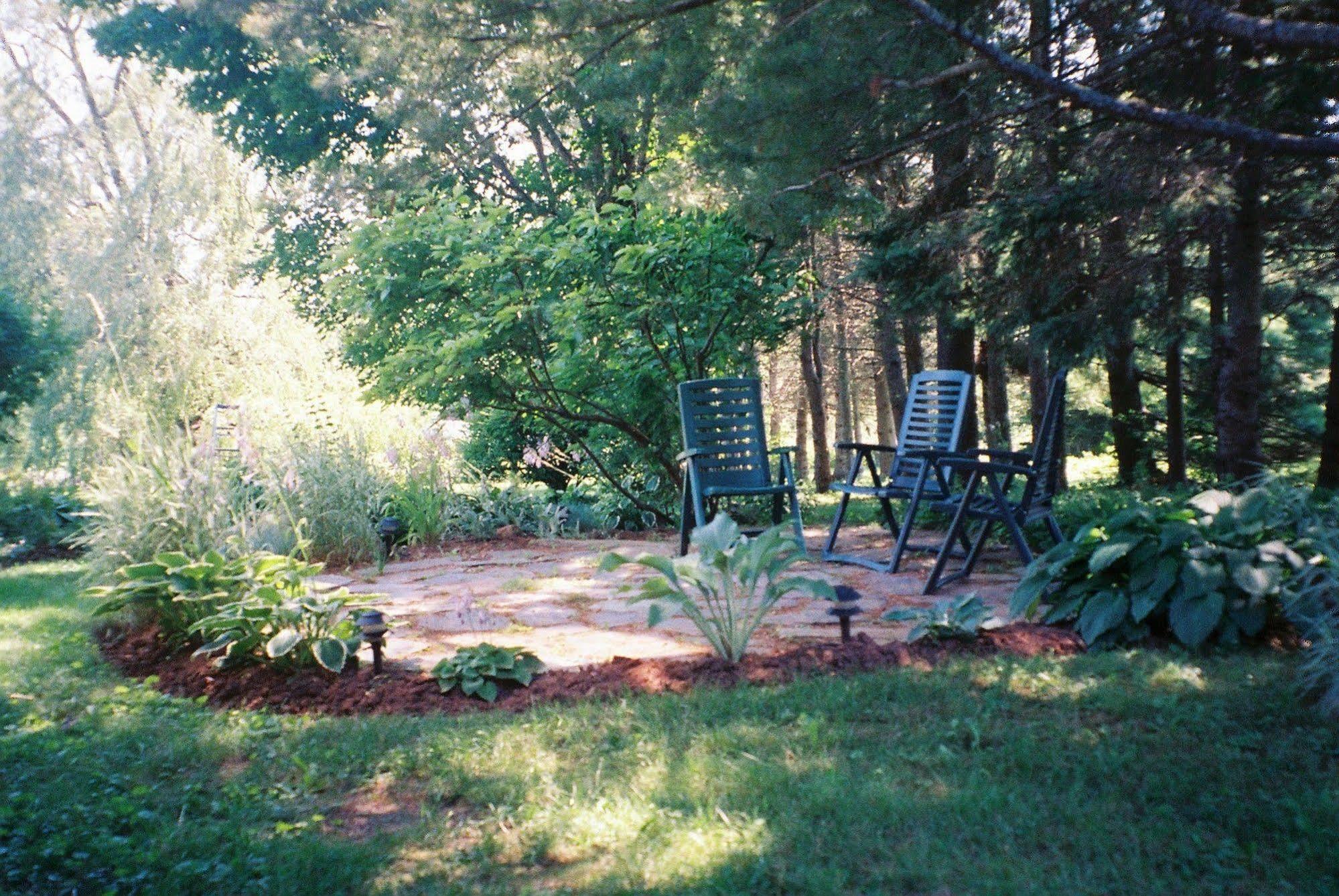 Tulips And Thistle B&B Τρούρο Εξωτερικό φωτογραφία
